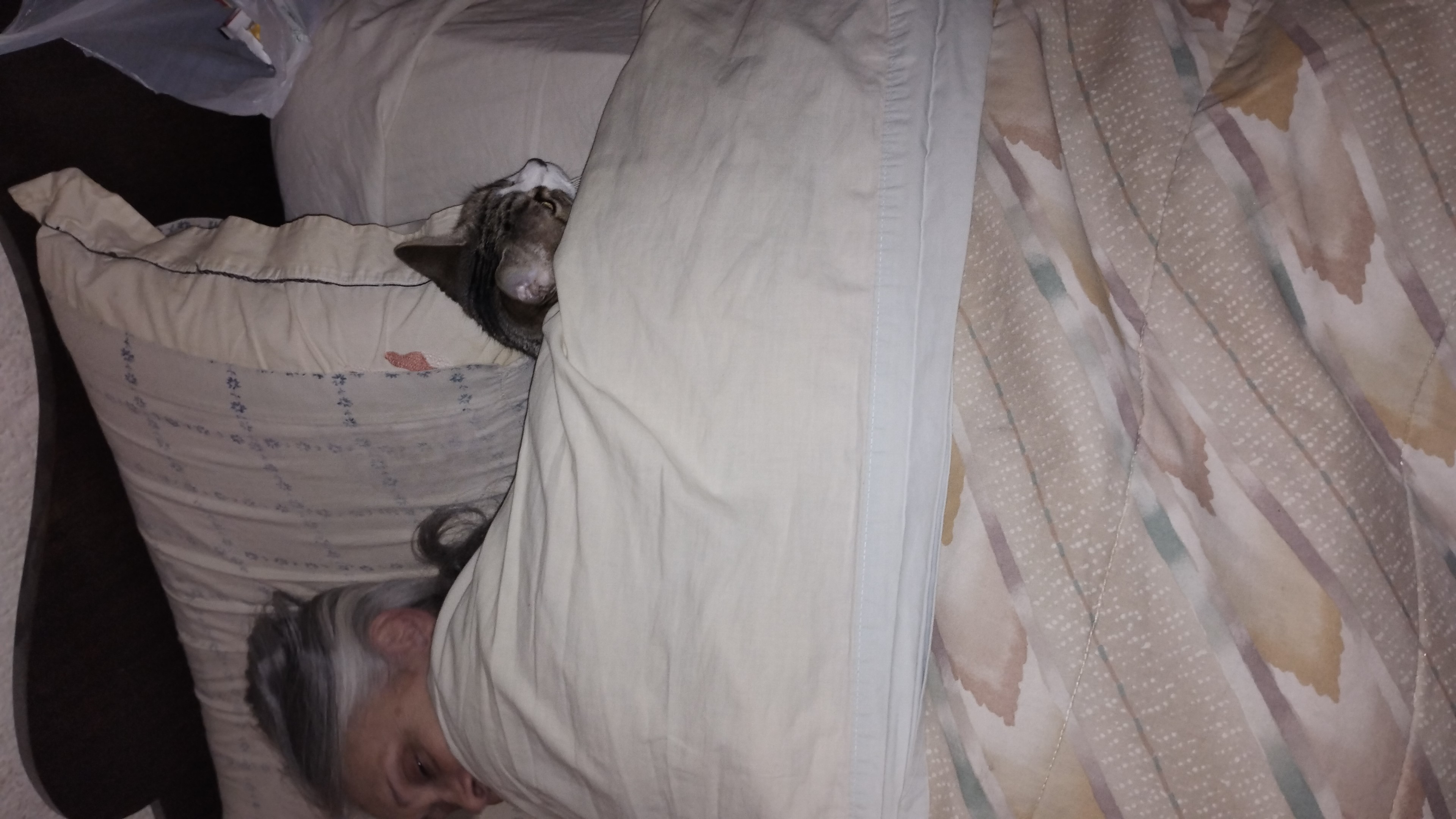 Tuni poking her head out from under the covers next to Ma